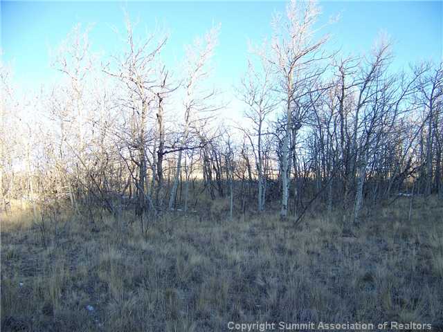 341 Highfill Road Jefferson, CO 80456 - Photo 3 of 5 Land/Lot.