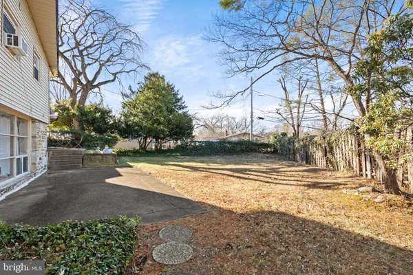 a view of a yard with large trees