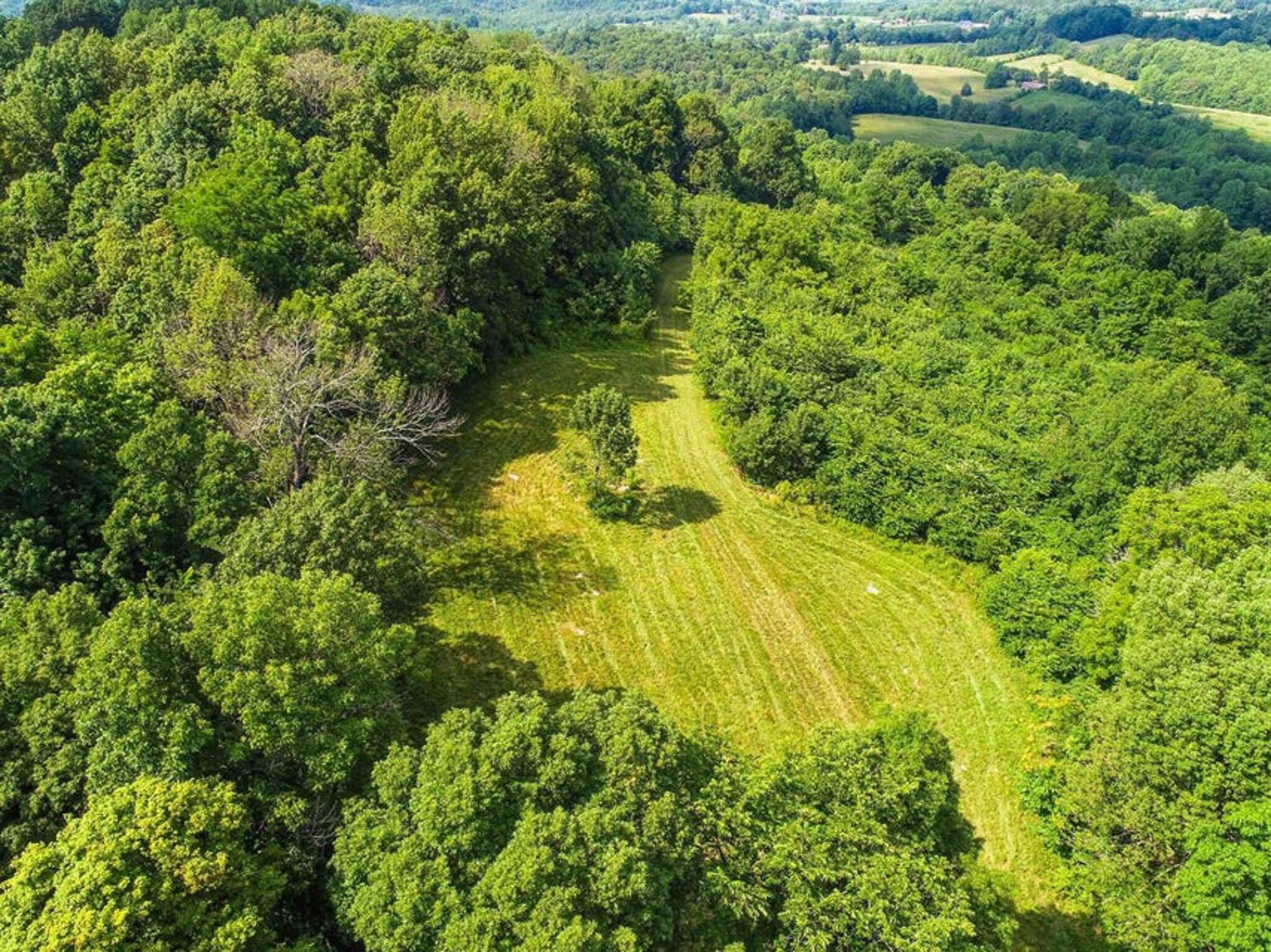 1640 Clear Branch Road Liberty, KY 42539 - Photo 102 of 135 20200917165214070272000000-o