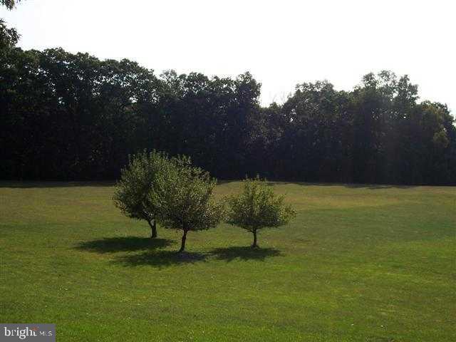 445 Ponderosa Road Carlisle, PA 17015 - Photo 4 of 12 Gallery Image 4