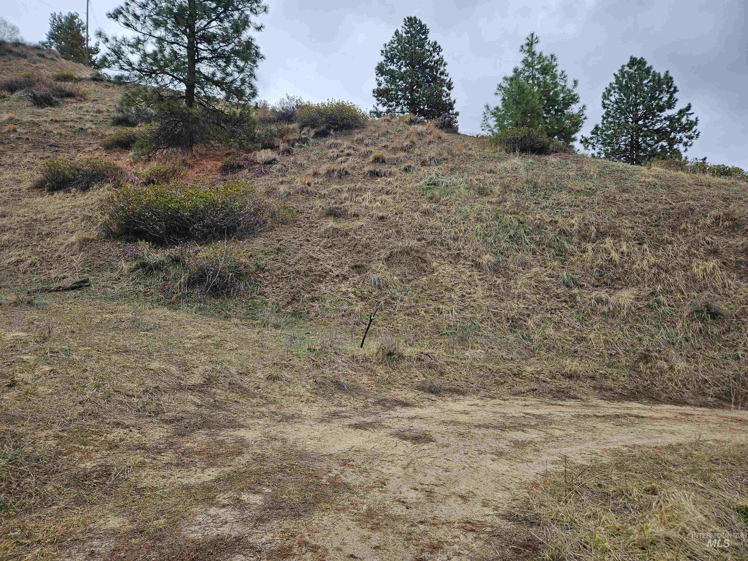 Lot 64 Wilderness Way Boise, ID 83716 - Photo 11 of 36 From Blue Grouse Way