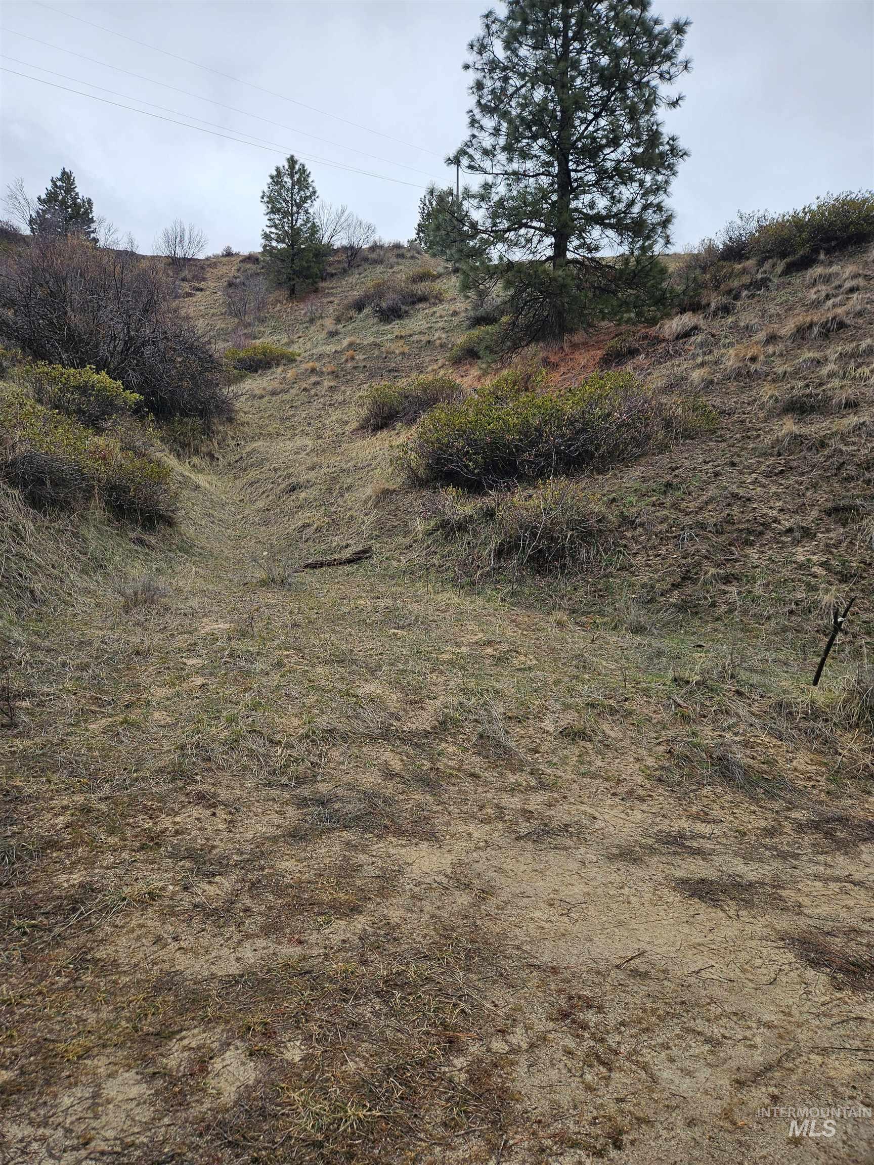 Lot 64 Wilderness Way Boise, ID 83716 - Photo 12 of 36 From Blue Grouse Way