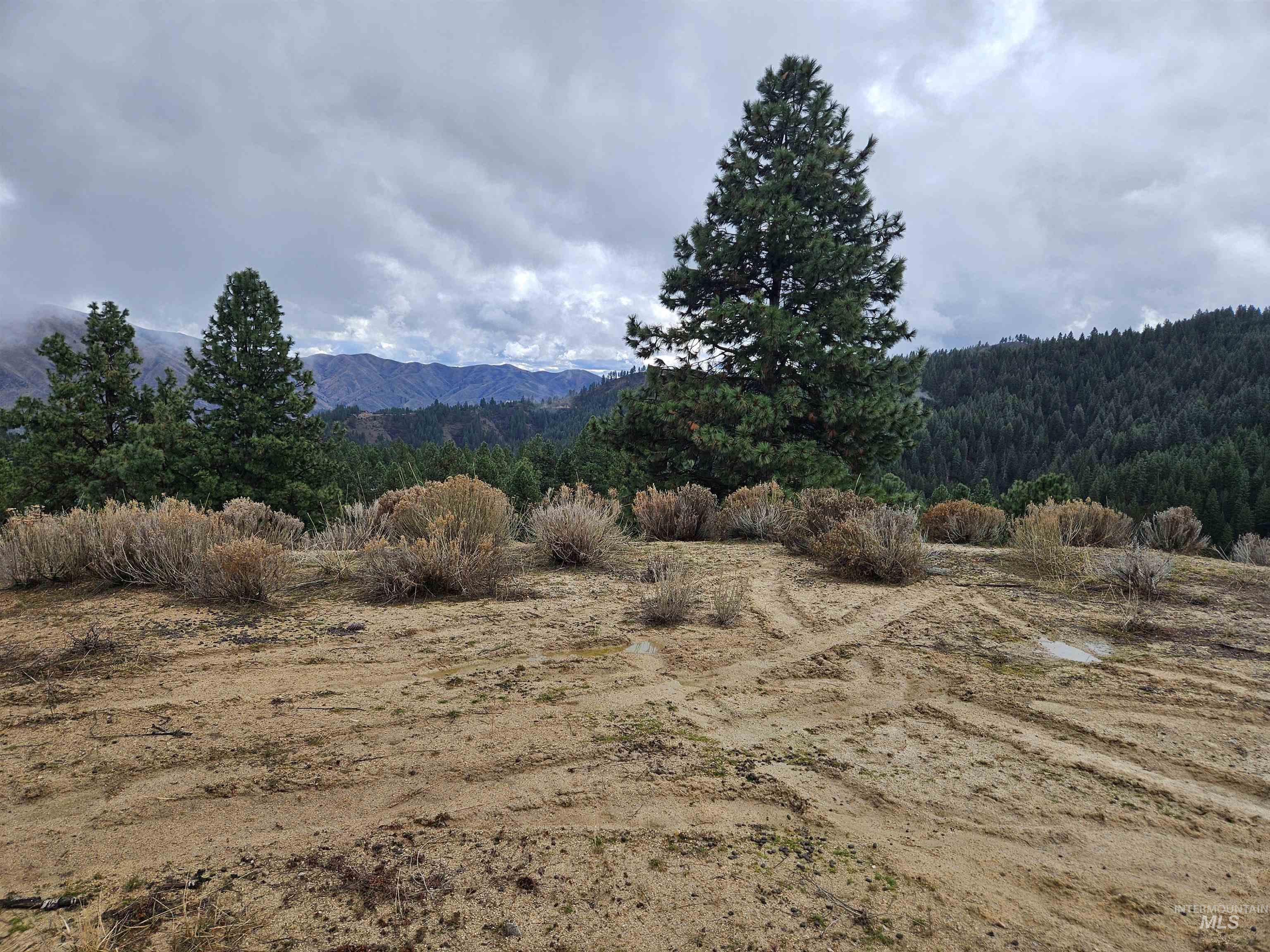 Lot 64 Wilderness Way Boise, ID 83716 - Photo 2 of 36 View of mountain backdrop featuring a forest