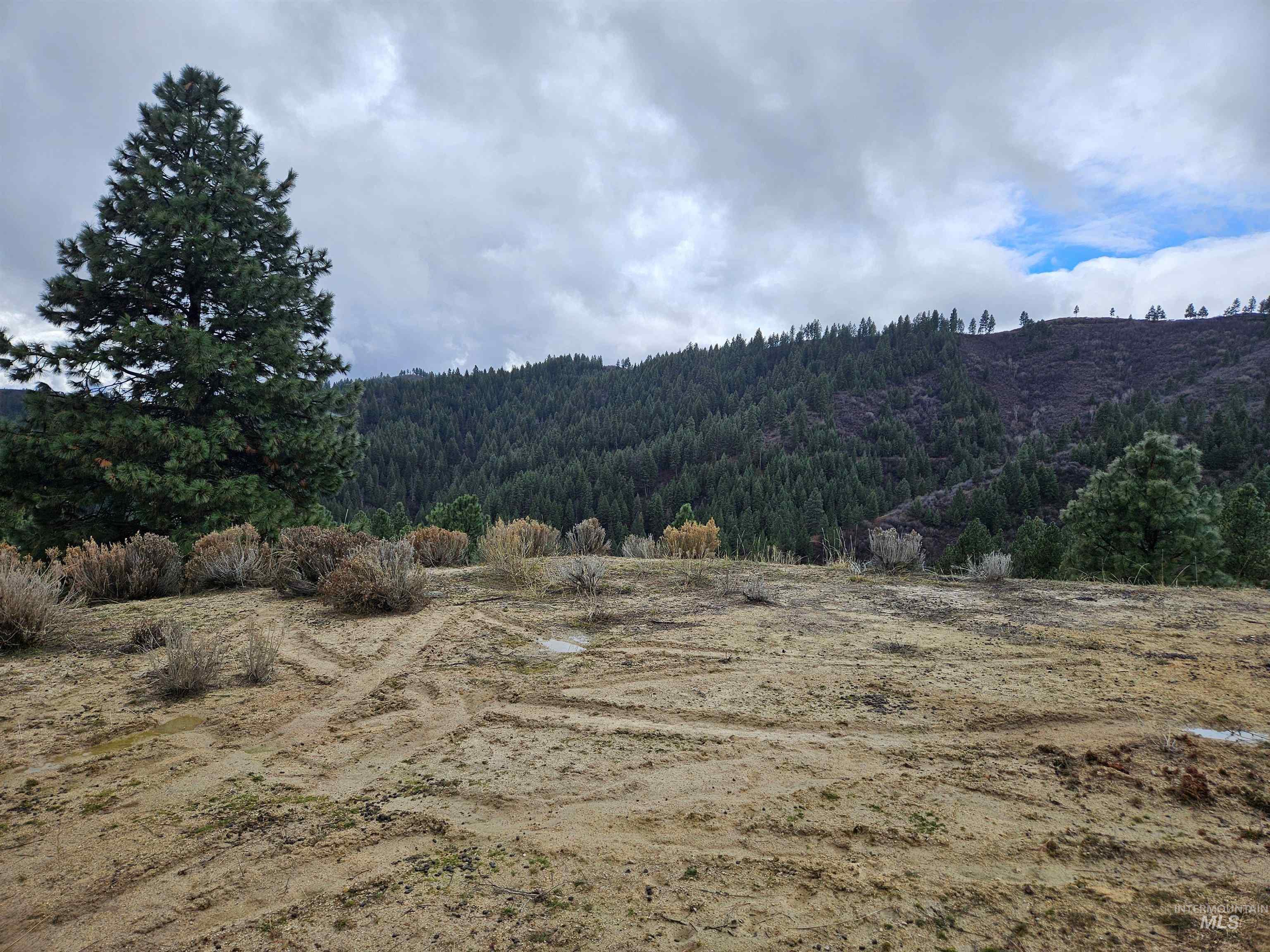 Lot 64 Wilderness Way Boise, ID 83716 - Photo 3 of 36 Mountain view featuring a forest