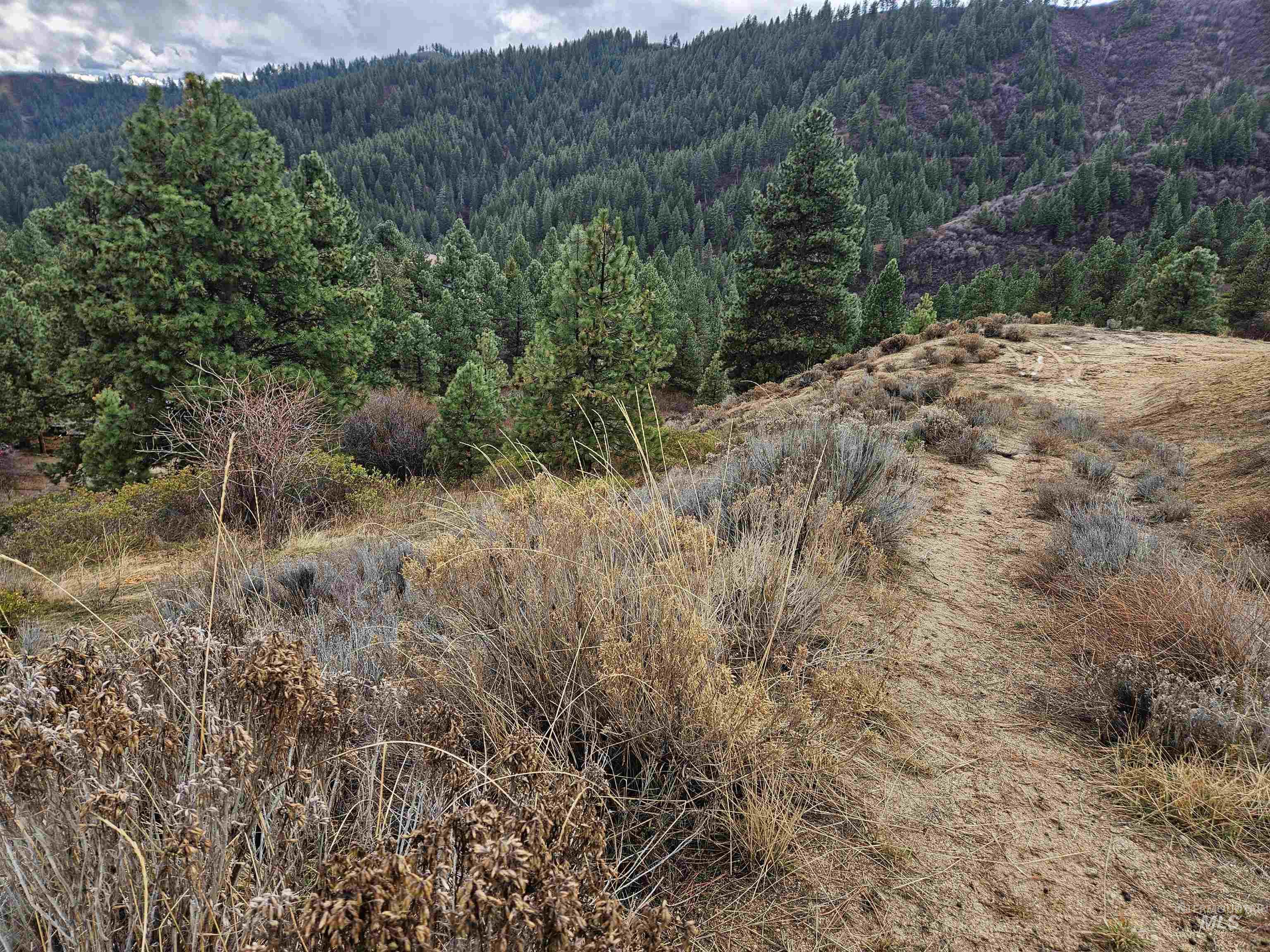 Lot 64 Wilderness Way Boise, ID 83716 - Photo 9 of 36 View of mountain background with a forest