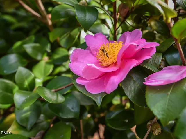 $989,000 | 7108 Millstone Ridge Court, Raleigh, NC 27614