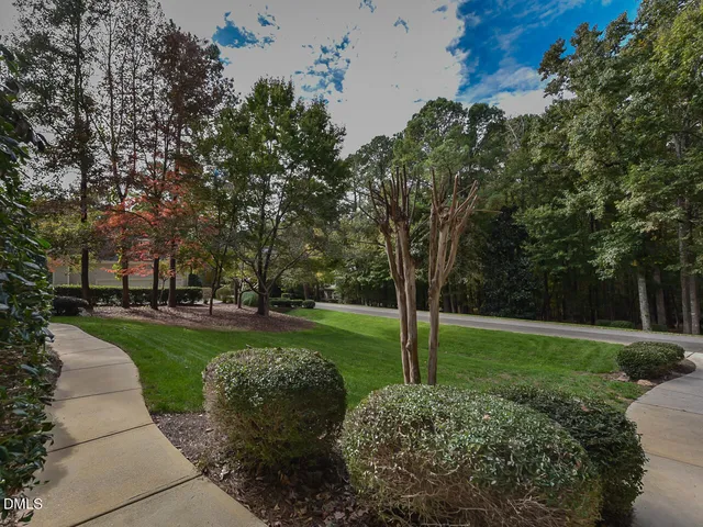 a view of a park with plants and trees