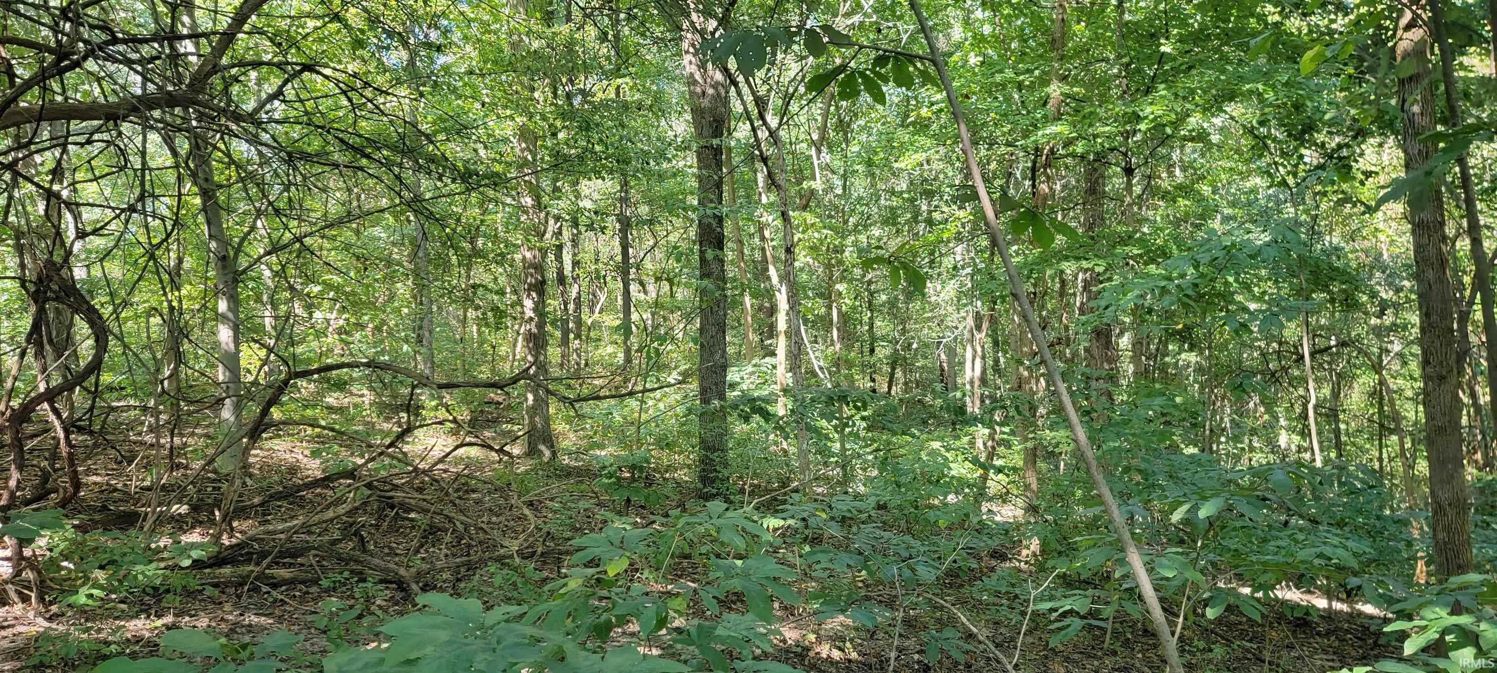 Twin Pond Road Bedford, IN 47421 - Photo 23 of 34 Gallery Image 23