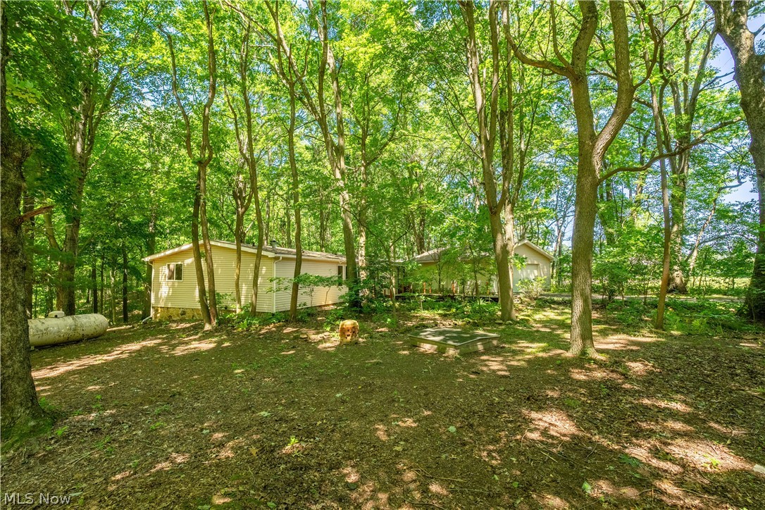 121 Skeleton Road Northwest Dellroy, OH 44620 - Photo 25 of 32