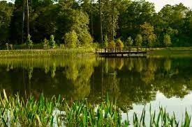 160 Birdsall Street, Unit 1146 Houston, TX 77007 - Photo 22 of 24 Memorial Park just up the street!