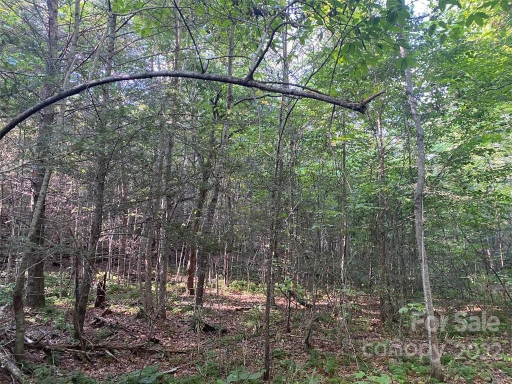 V/l West Payne Road, Unit 1B Marion, NC 28752 - Photo 3 of 17 Gallery Image 3