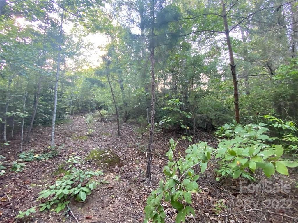 V/l West Payne Road, Unit 1B Marion, NC 28752 - Photo 6 of 17 Gallery Image 6