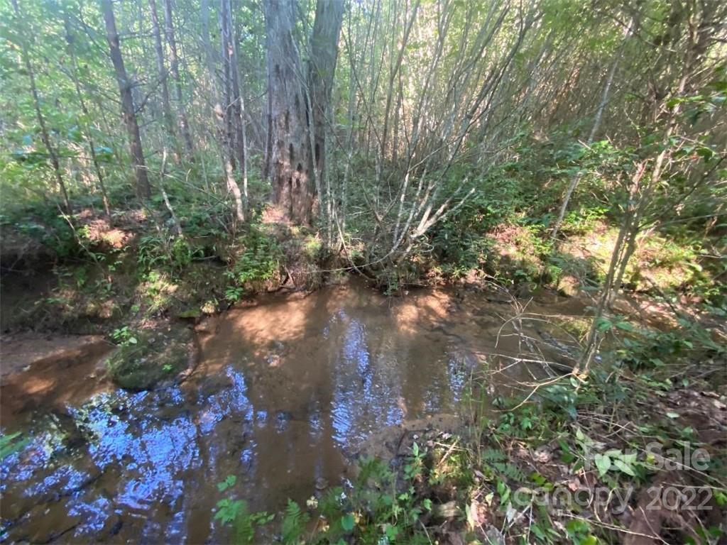 V/l West Payne Road, Unit 1B Marion, NC 28752 - Photo 8 of 17 Gallery Image 8