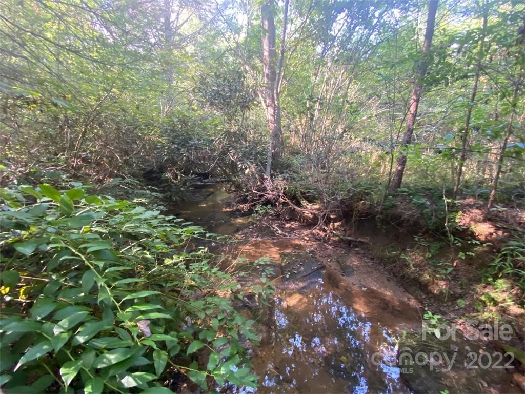 V/l West Payne Road, Unit 1B Marion, NC 28752 - Photo 10 of 17 Gallery Image 10