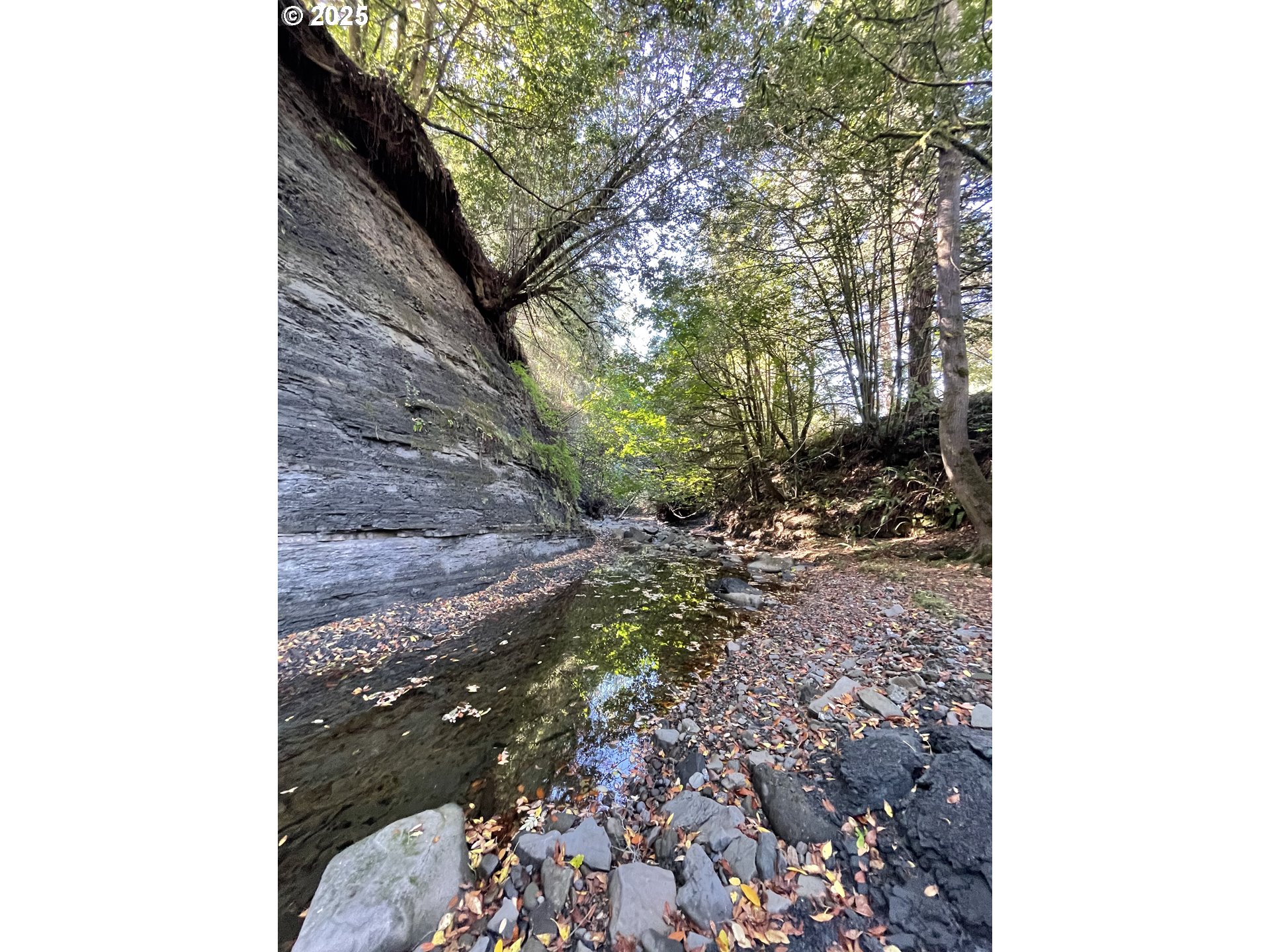 46255 Highway 242 Myrtle Point, OR 97458 - Photo 11 of 32