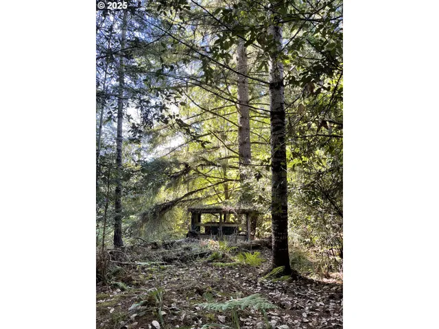 $474,000 | 46255 Highway 242, Myrtle Point, OR 97458