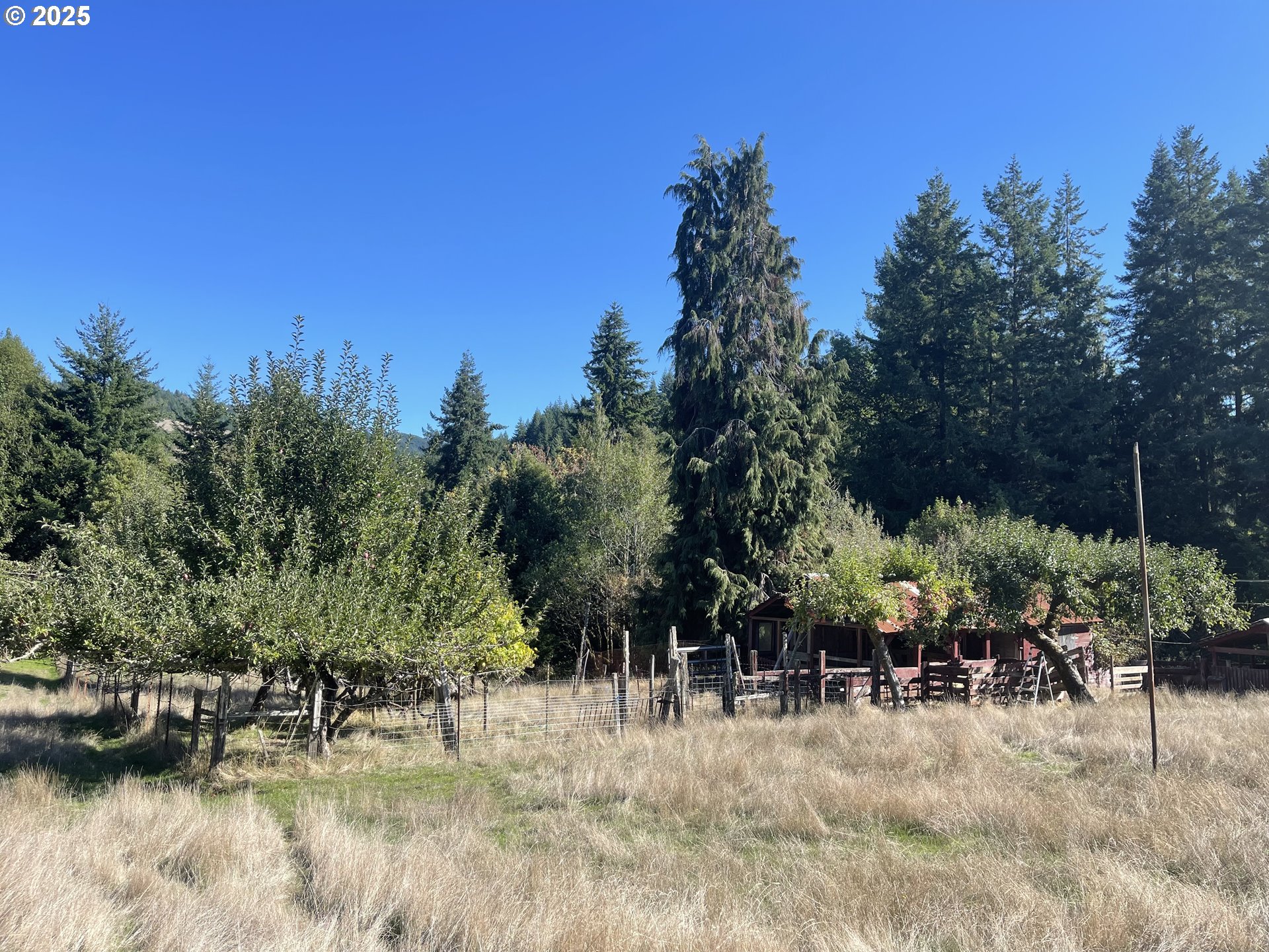 46255 Highway 242 Myrtle Point, OR 97458 - Photo 13 of 32