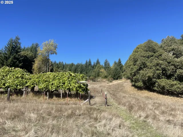 $474,000 | 46255 Highway 242, Myrtle Point, OR 97458