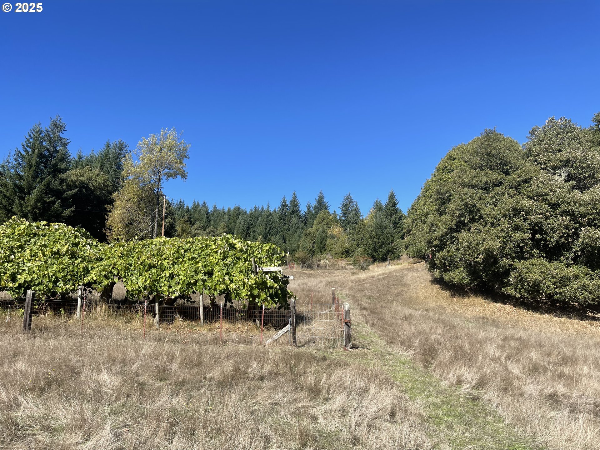 46255 Highway 242 Myrtle Point, OR 97458 - Photo 14 of 32