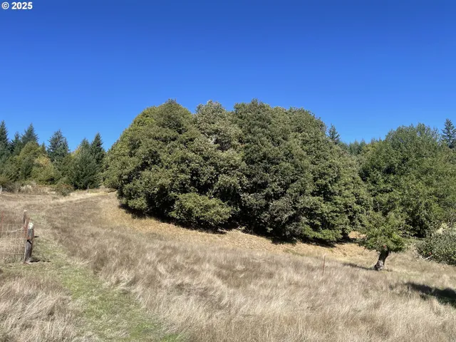 $474,000 | 46255 Highway 242, Myrtle Point, OR 97458