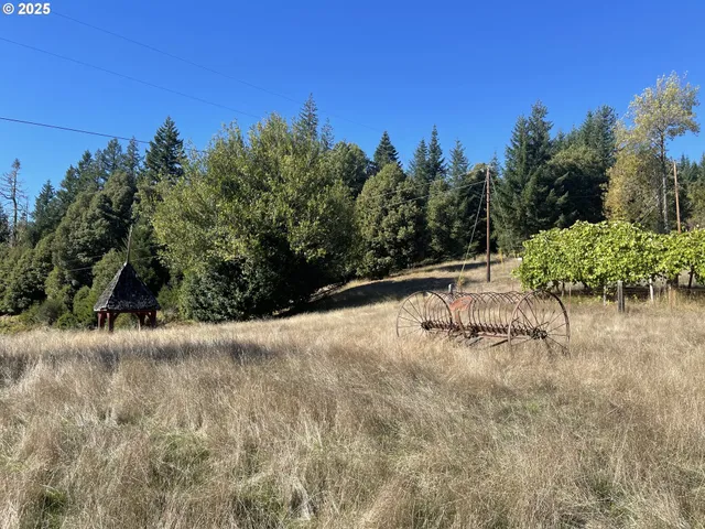 $474,000 | 46255 Highway 242, Myrtle Point, OR 97458