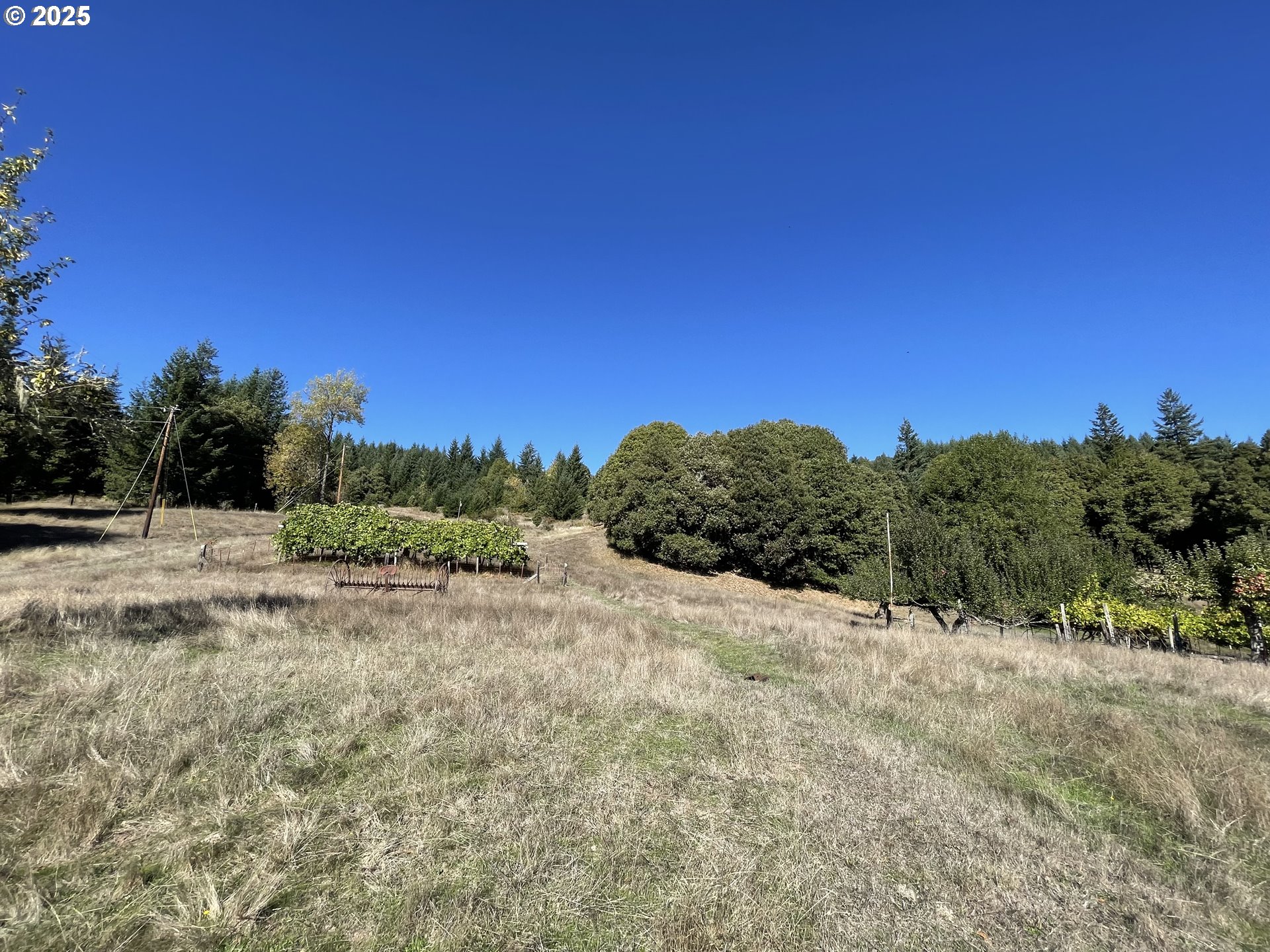 46255 Highway 242 Myrtle Point, OR 97458 - Photo 17 of 32