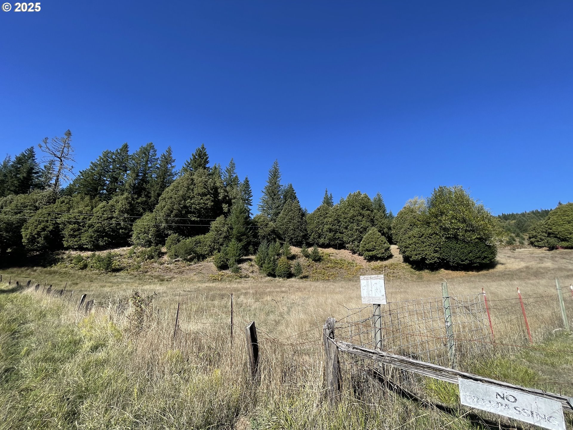 46255 Highway 242 Myrtle Point, OR 97458 - Photo 18 of 32