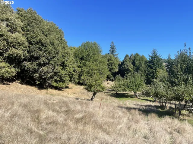 $474,000 | 46255 Highway 242, Myrtle Point, OR 97458