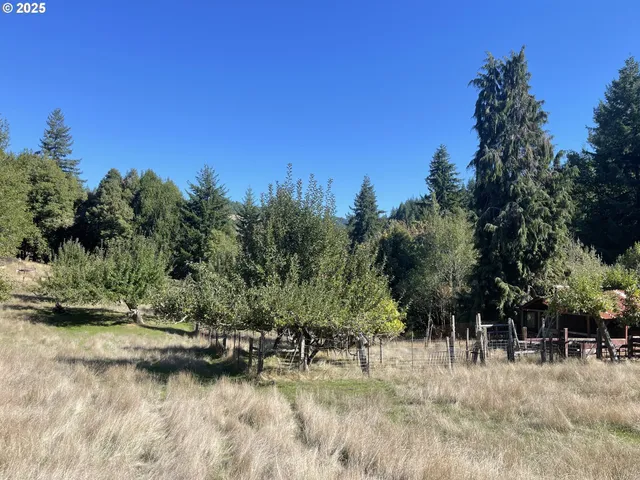 $474,000 | 46255 Highway 242, Myrtle Point, OR 97458
