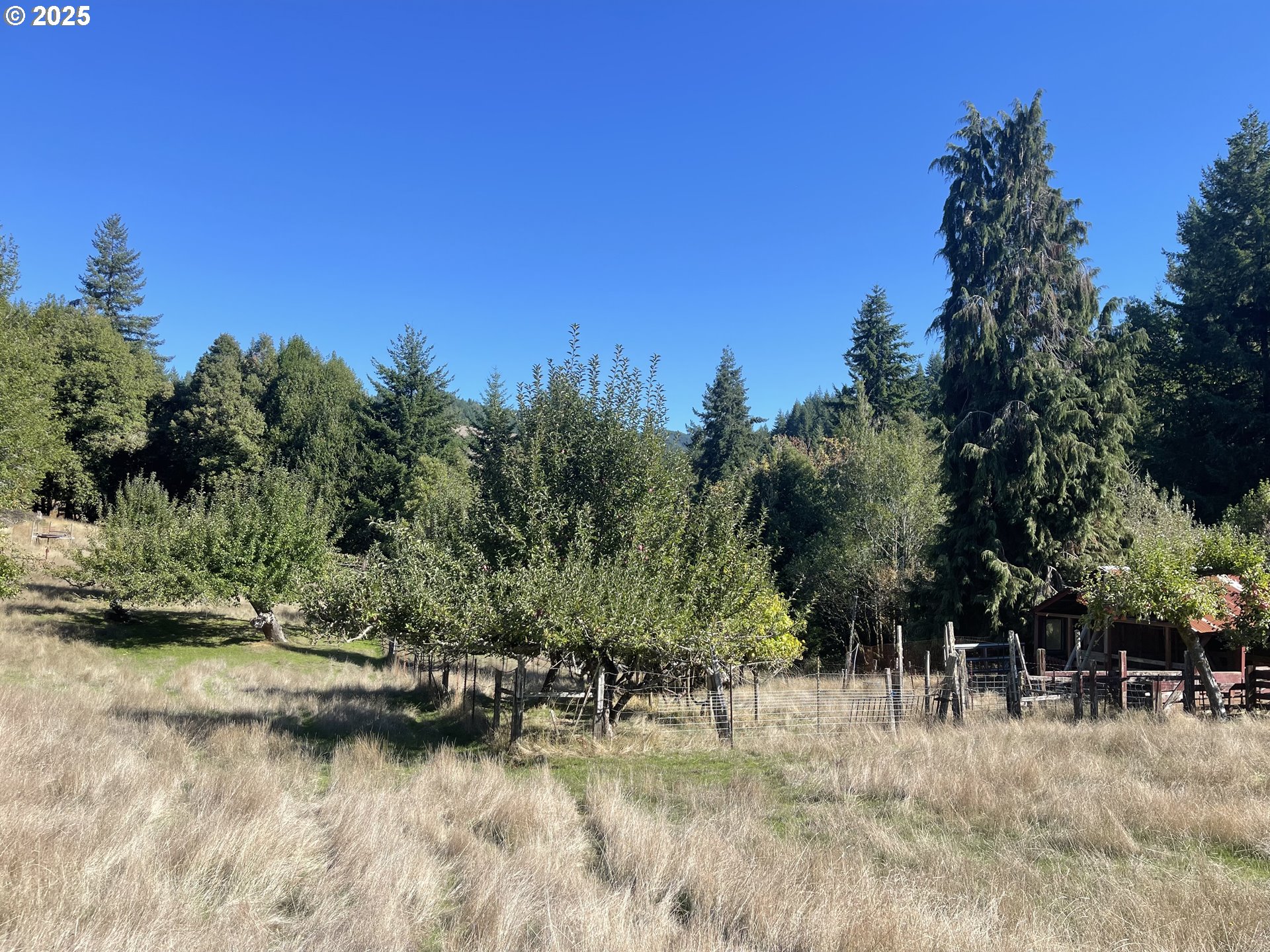 46255 Highway 242 Myrtle Point, OR 97458 - Photo 5 of 32