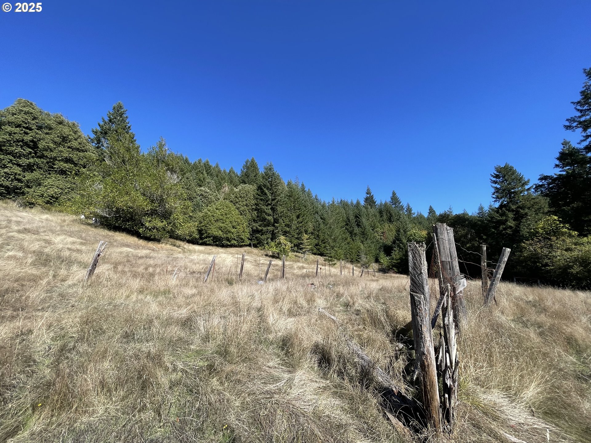 46255 Highway 242 Myrtle Point, OR 97458 - Photo 6 of 32