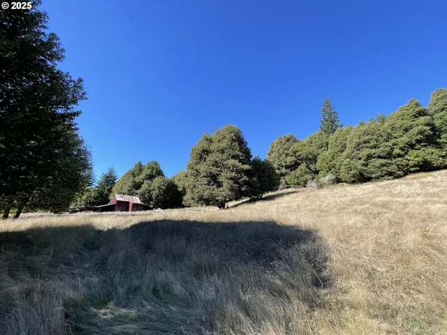 $474,000 | 46255 Highway 242, Myrtle Point, OR 97458