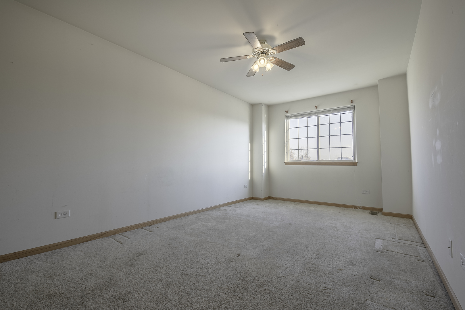 25724 South Red Stable Lane Channahon, IL 60410 - Photo 12 of 22