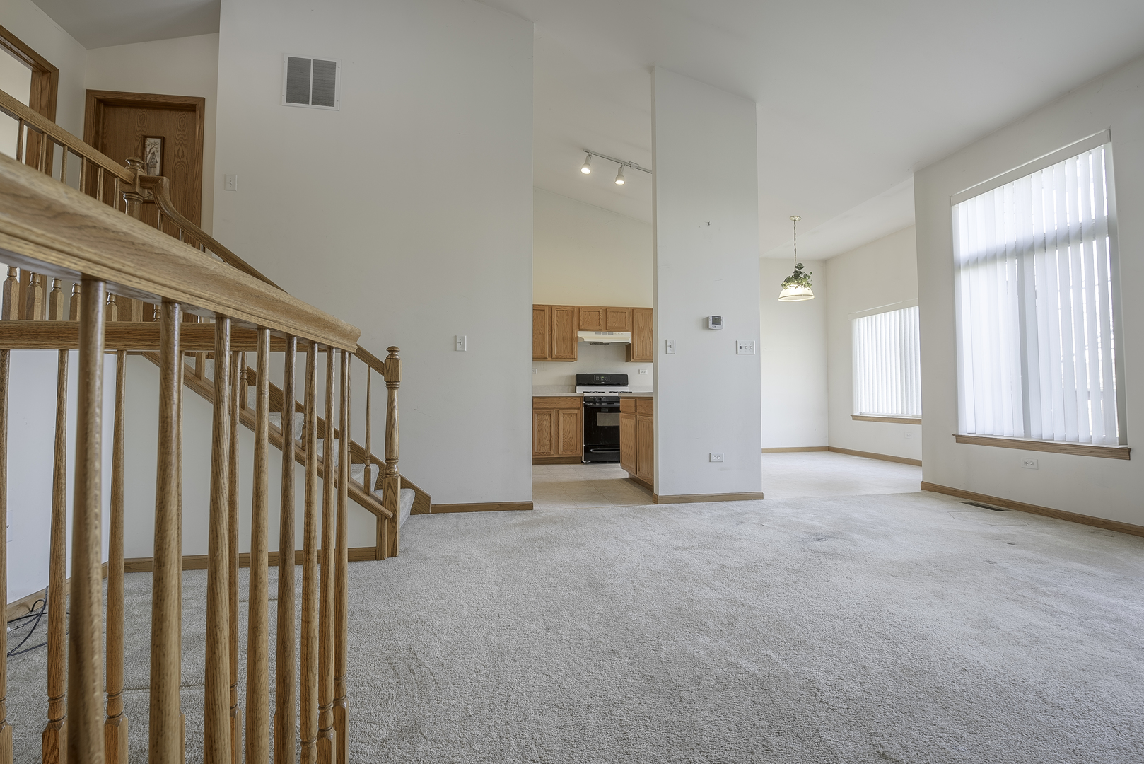 25724 South Red Stable Lane Channahon, IL 60410 - Photo 3 of 22