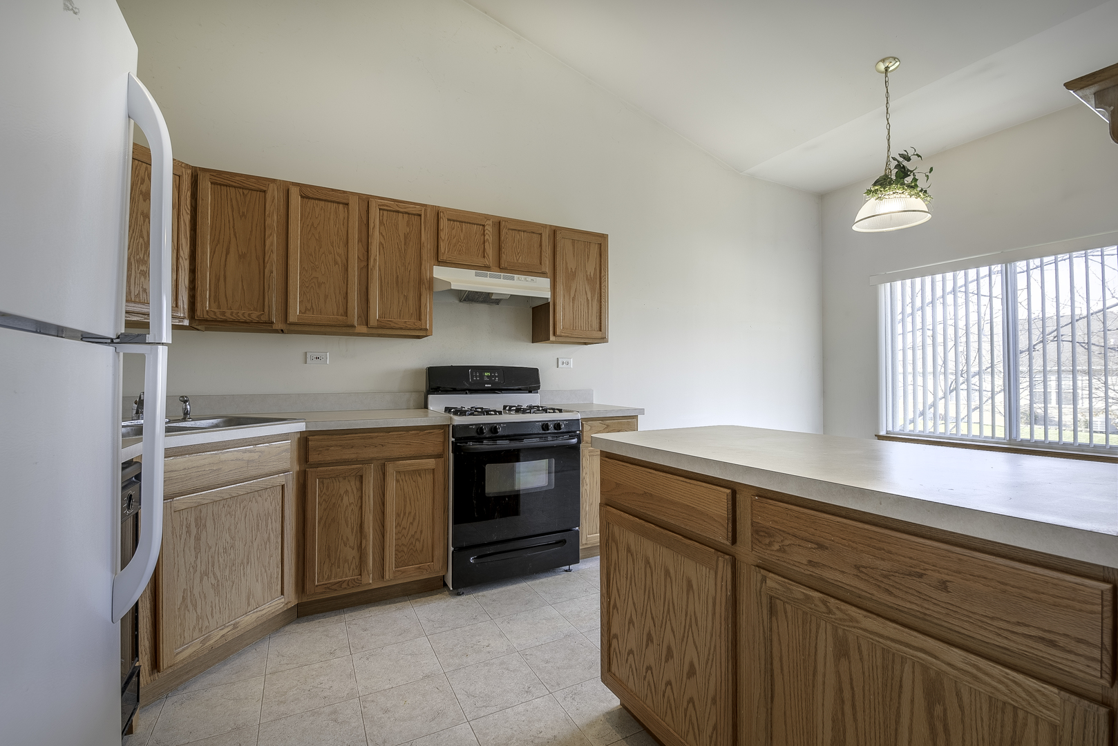 25724 South Red Stable Lane Channahon, IL 60410 - Photo 5 of 22