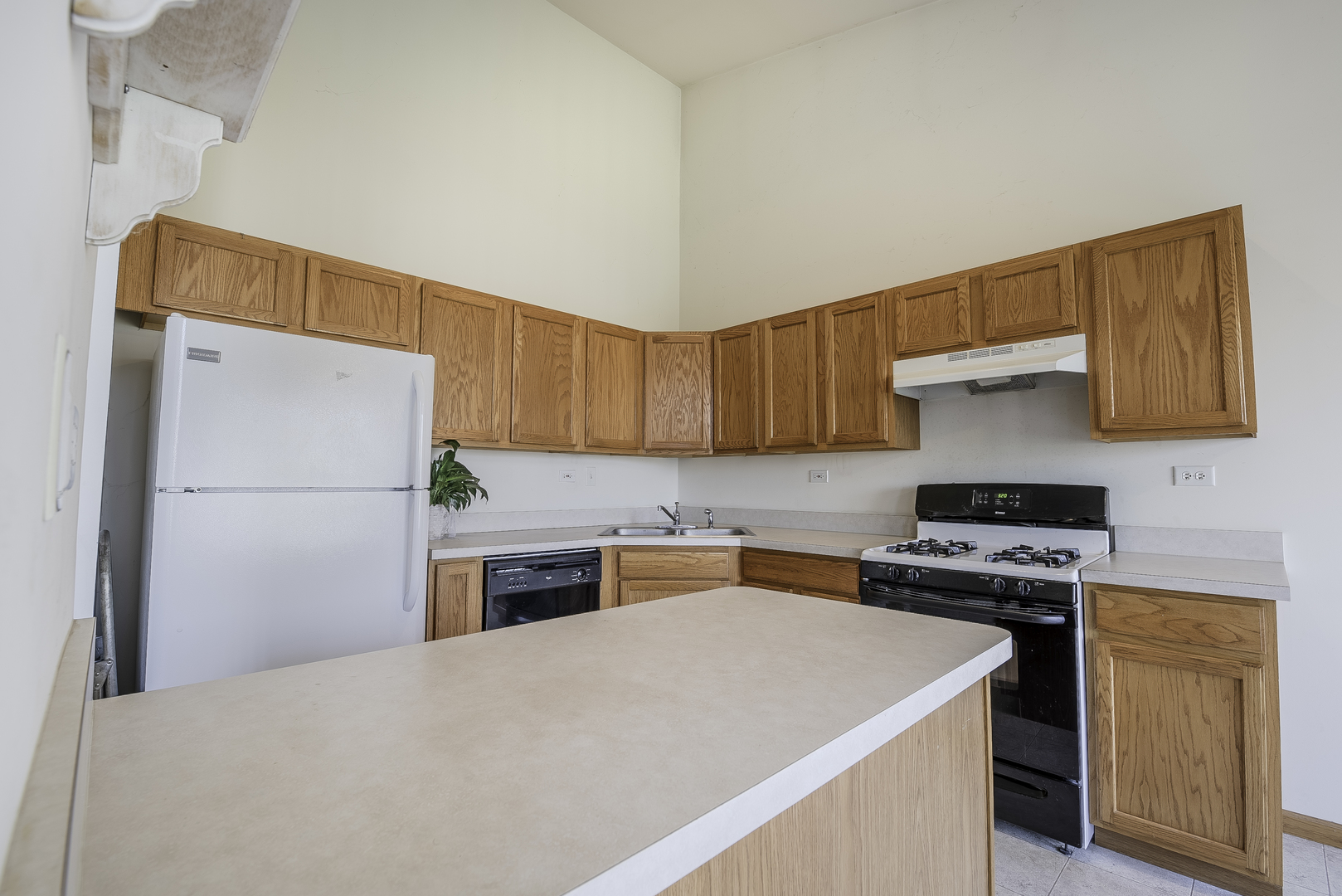25724 South Red Stable Lane Channahon, IL 60410 - Photo 6 of 22