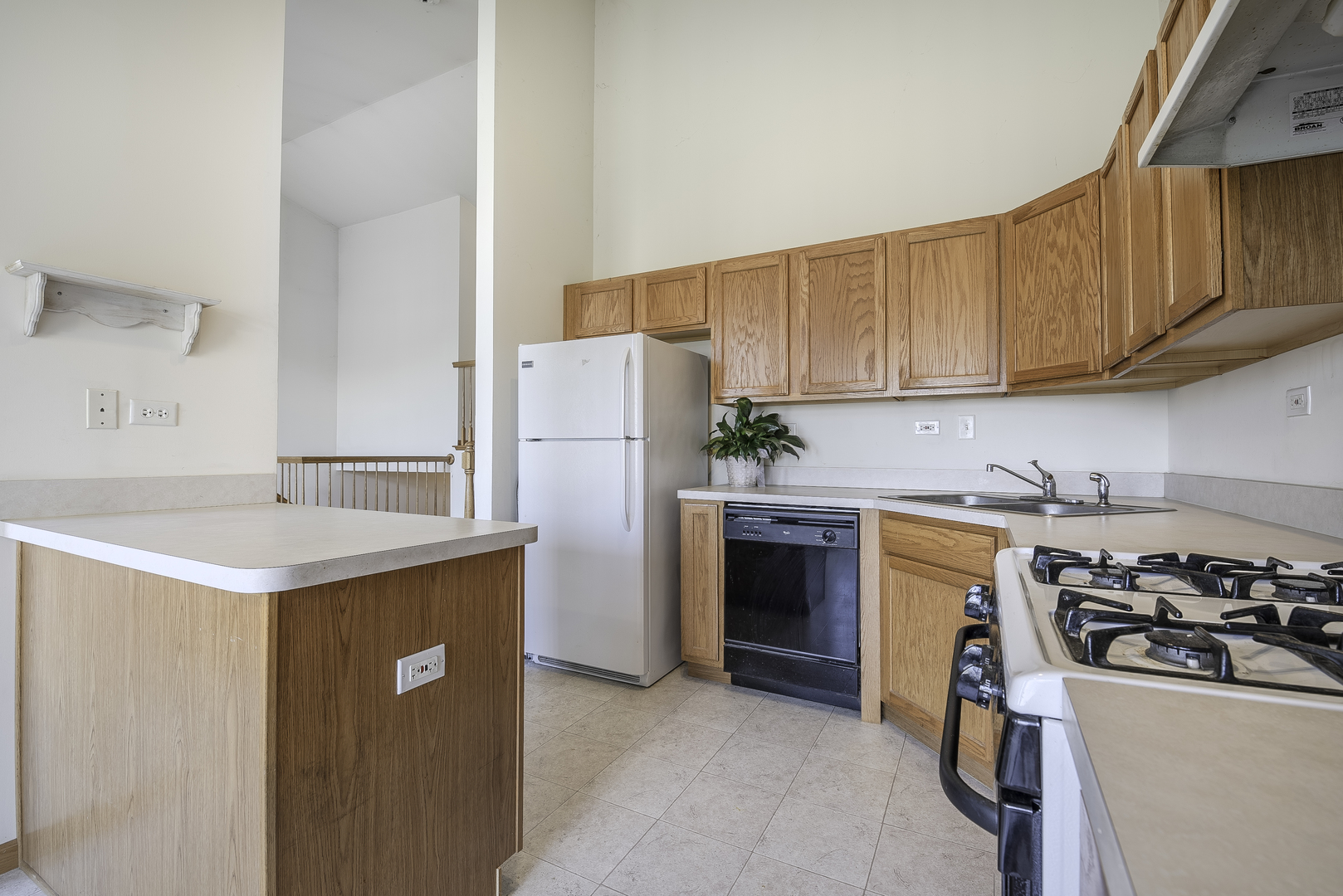 25724 South Red Stable Lane Channahon, IL 60410 - Photo 7 of 22