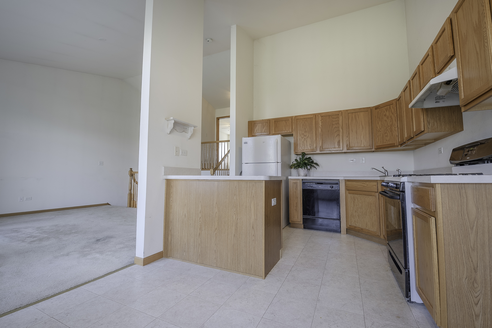 25724 South Red Stable Lane Channahon, IL 60410 - Photo 8 of 22