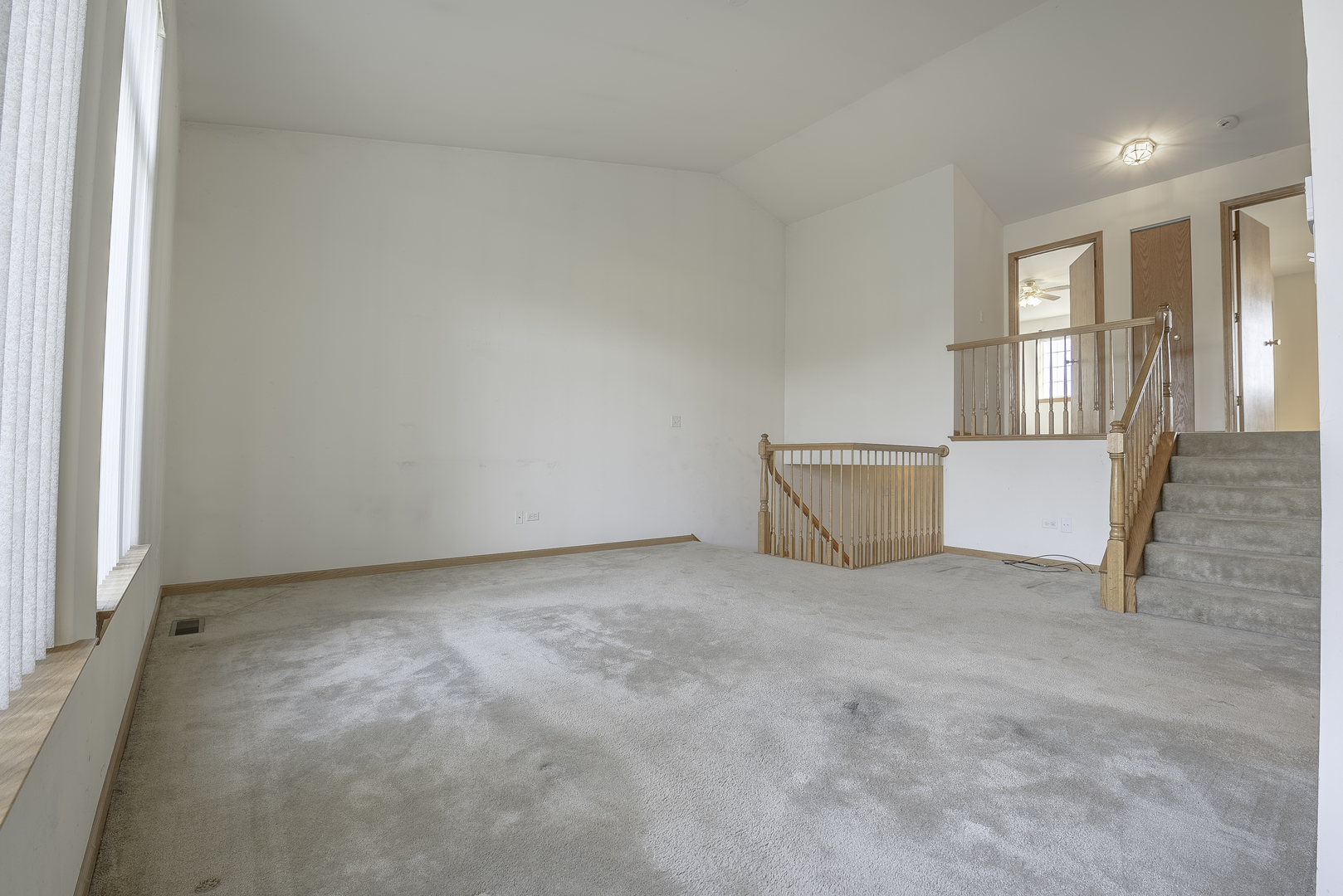 25724 South Red Stable Lane Channahon, IL 60410 - Photo 9 of 22