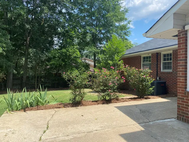 a view of a garden with potted plants