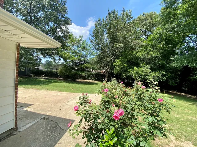 a view of a garden with flower plants