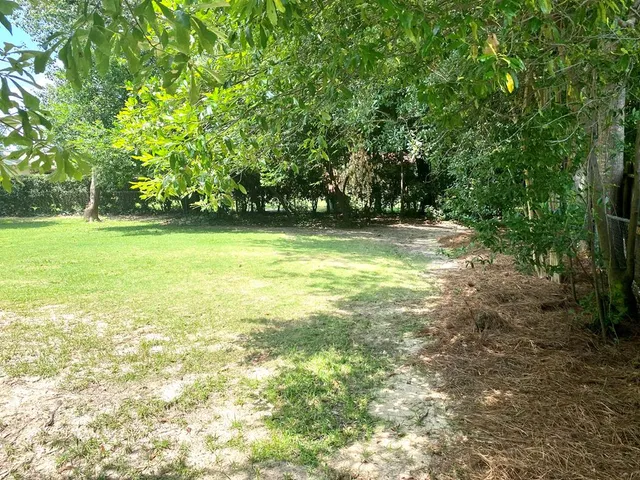 a view of a field with an trees