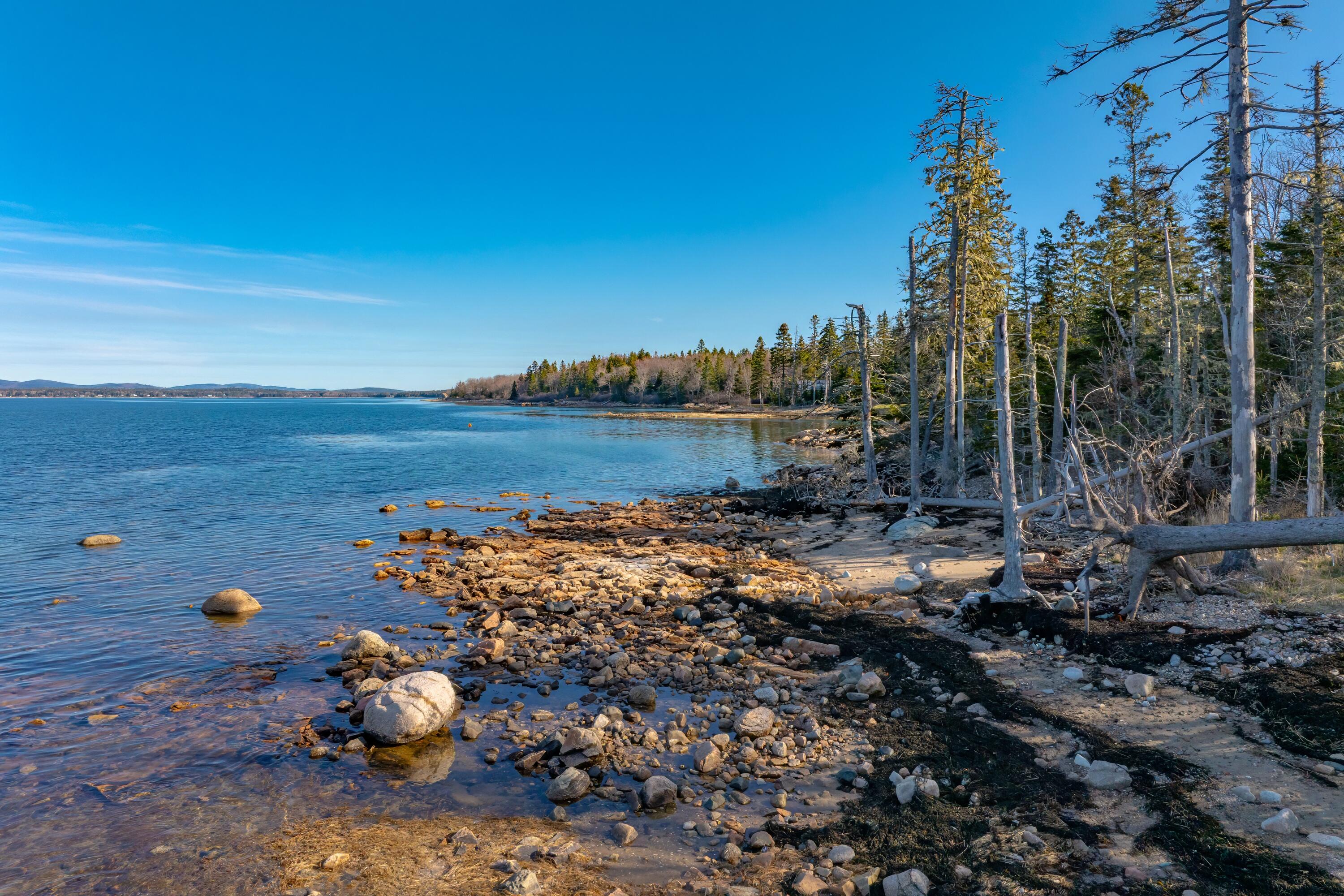 Lot 17 Wilderness Shore Road South Steuben, ME 04680 - Photo 4 of 12