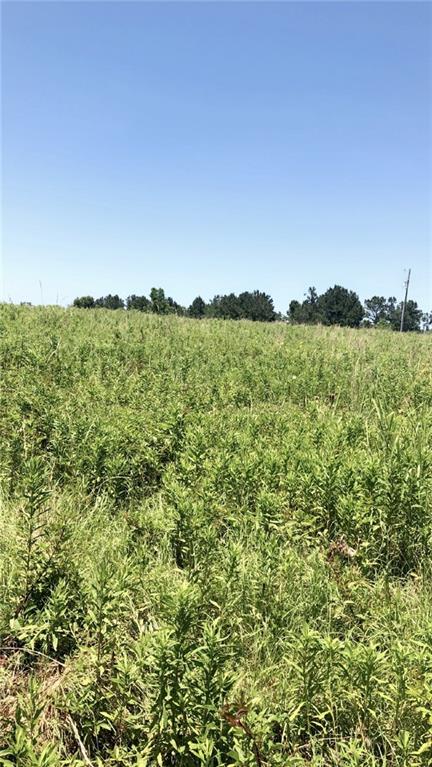 0 Brumfield Road Franklinton, LA 70438 - Photo 1 of 4 Gallery Image 1