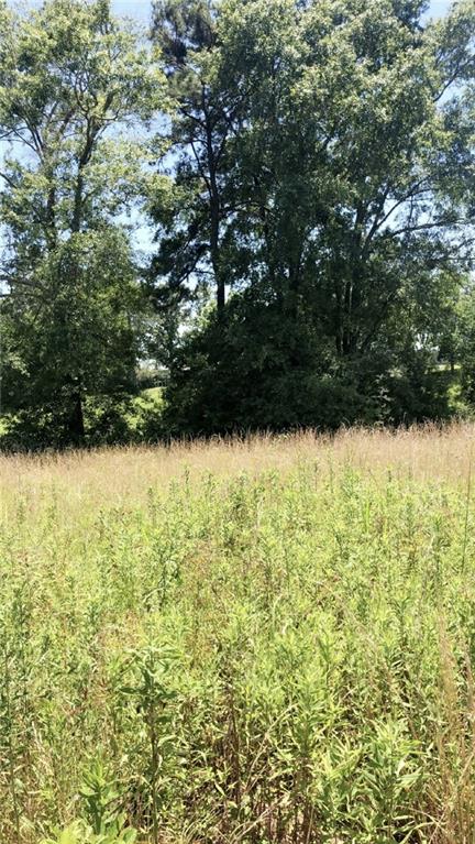 0 Brumfield Road Franklinton, LA 70438 - Photo 3 of 4 Gallery Image 3