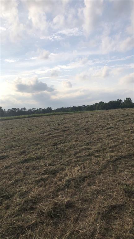 0 Brumfield Road Franklinton, LA 70438 - Photo 4 of 4 Gallery Image 4