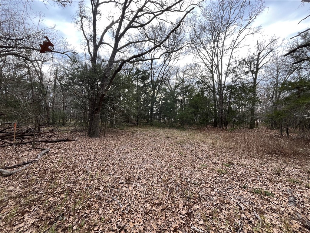 571 Railroad Road Somerville, TX 77879 - Photo 7 of 17