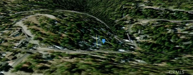 a view of a forest with lots of trees