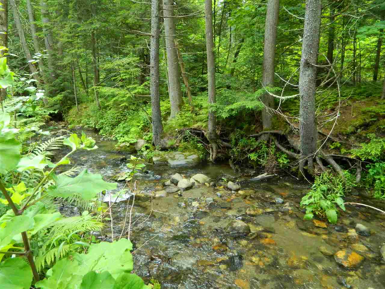 1350 Sugar Maple Road Lyndon, VT 05851 - Photo 31 of 40 Gallery Image 31