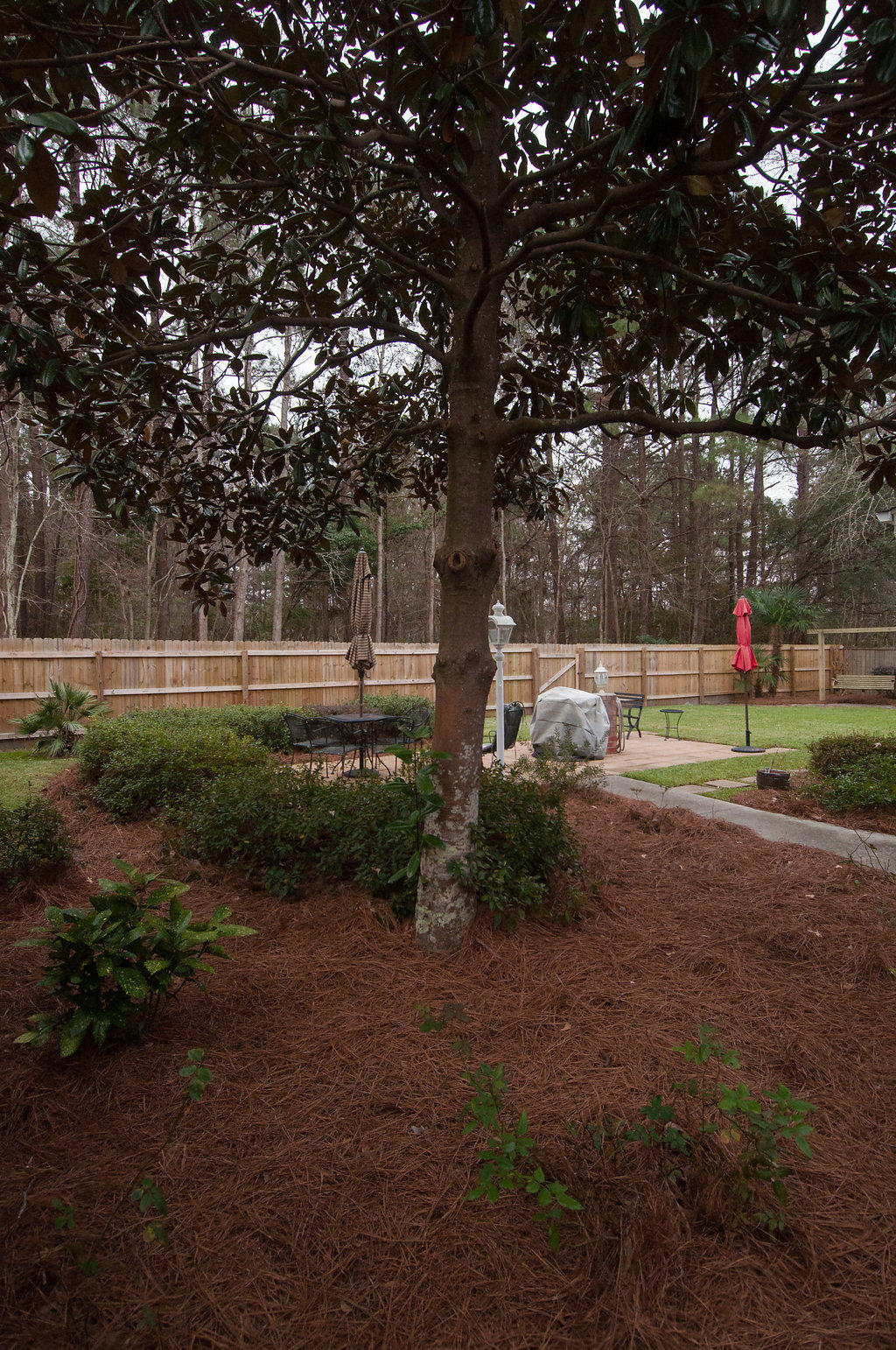146 Winding Rock Road Goose Creek, SC 29445 - Photo 5 of 41 windingrock-6